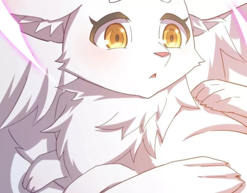 我的卡牌无限强化,第4话 强化小狐狸,第116张